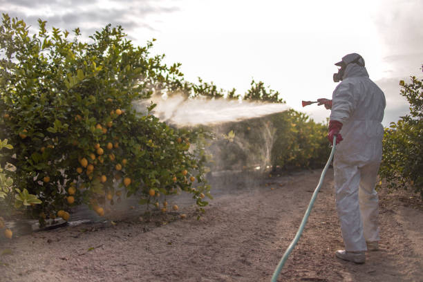 Professional Pest Control in Aspinwall, PA