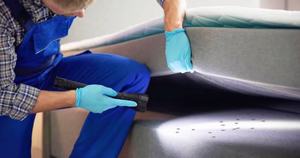 Best Wasp Removal Services  in Aspinwall, PA