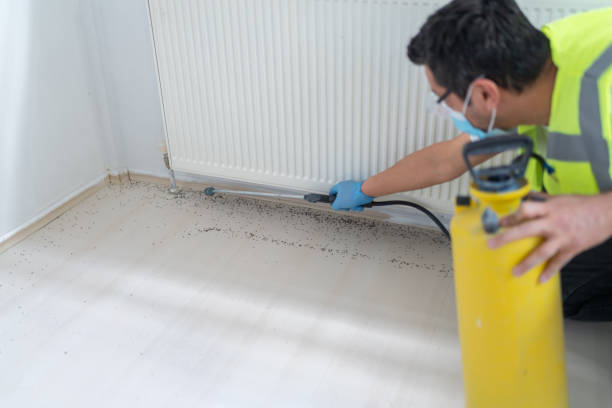 Best Termite Control Services  in Aspinwall, PA