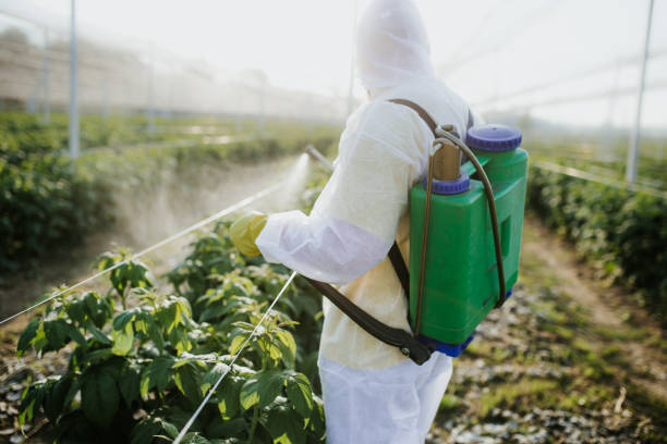 Best Pest Prevention Services  in Aspinwall, PA